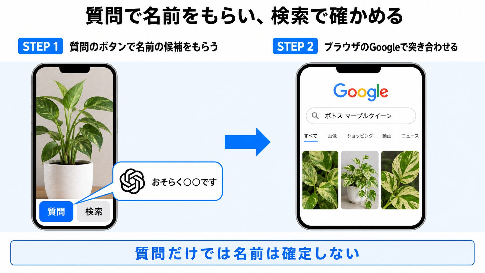 ChatGPTへの質問とGoogleでの検索を2ステップでつなぐ手順図。STEP 1は、植物を写したiPhoneの画面下部に「質問」と「検索」の2つのボタンが並び、青く強調された「質問」からChatGPTのロゴ付きの吹き出しで「おそらく〇〇です」と返ってくる場面。STEP 2は、同じiPhoneのブラウザでGoogleを開き、受け取った名前を検索欄に打ち込んで、似た植物の画像が並んだ結果を確認する場面。2つを1本の青い矢印でつなぎ、下部に「質問だけでは名前は確定しない」と添える
